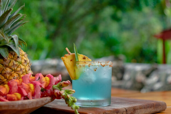 gastronomia rio chirripo