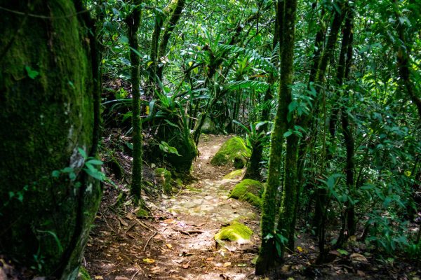 Senderismo Río Chirripo